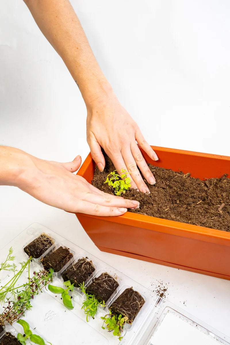 DSC06283.webp__PID:0b4f7bd2-a6b3-4844-9474-3babfcdbf96e