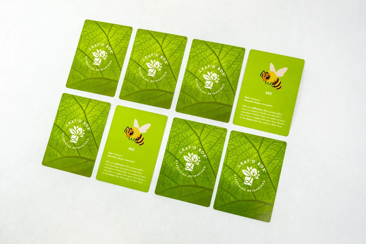 Plant Education Matching and Memory Card Game