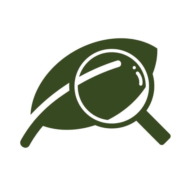 Magnifying glass examining a plant leaf.