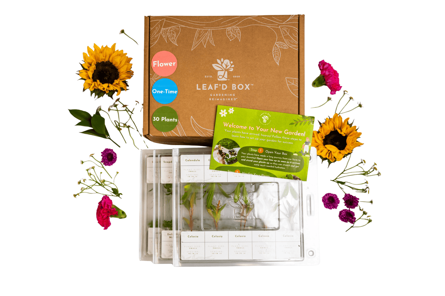 Medium Flower Box