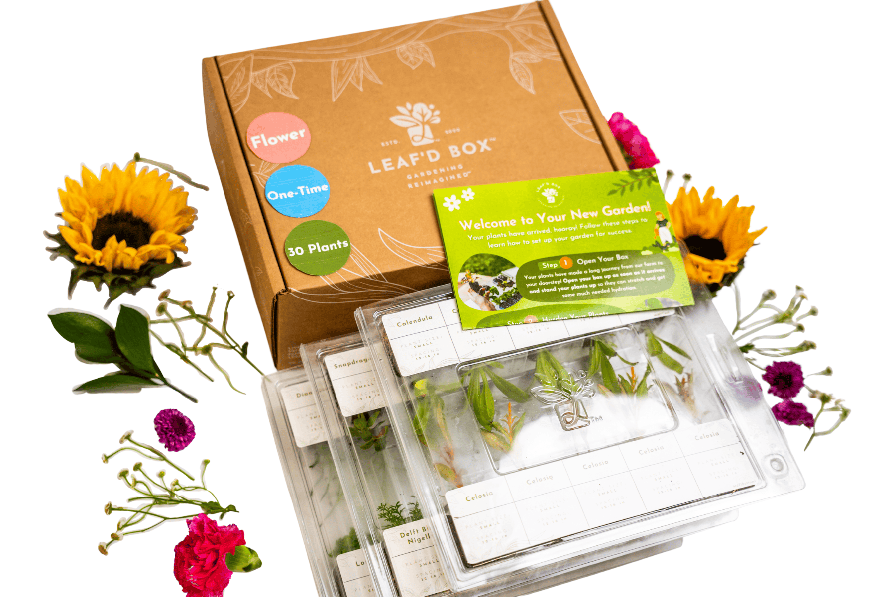 flower seeds gift box Medium Flower Box – Leaf'd Box