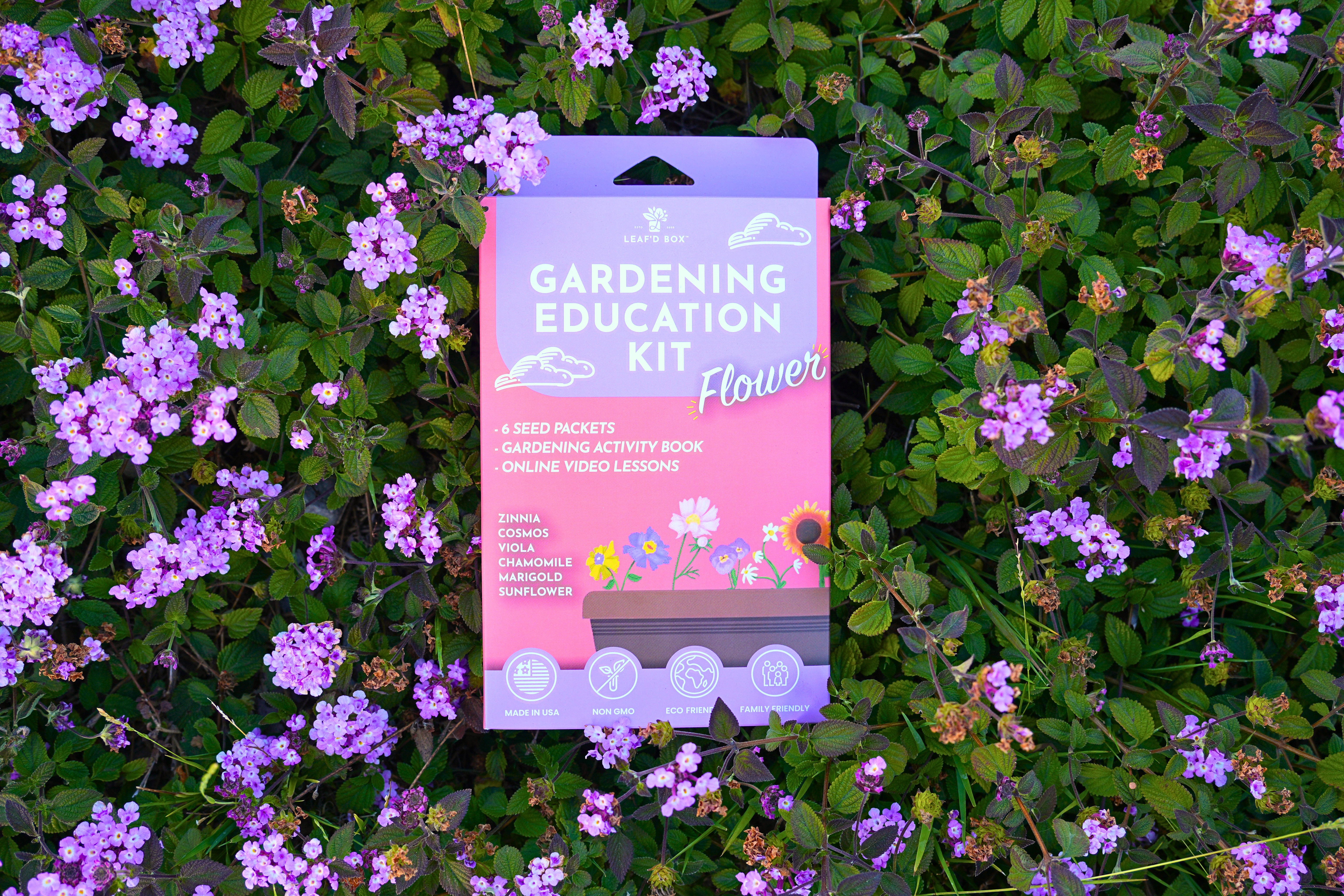 Flower Gardening Education Seed Kit with Science Curriculum