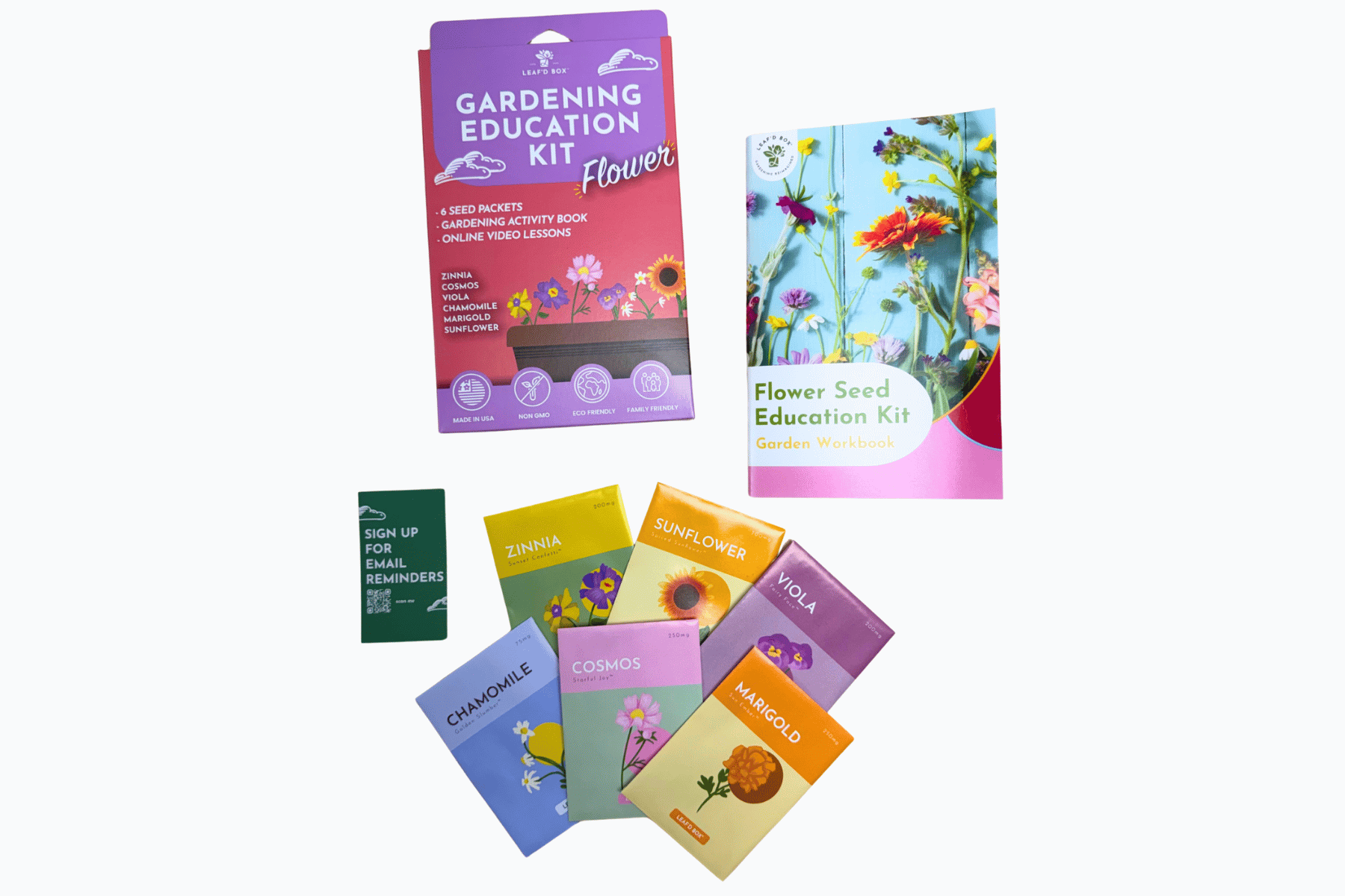 Flower Gardening Education Seed Kit with Science Curriculum