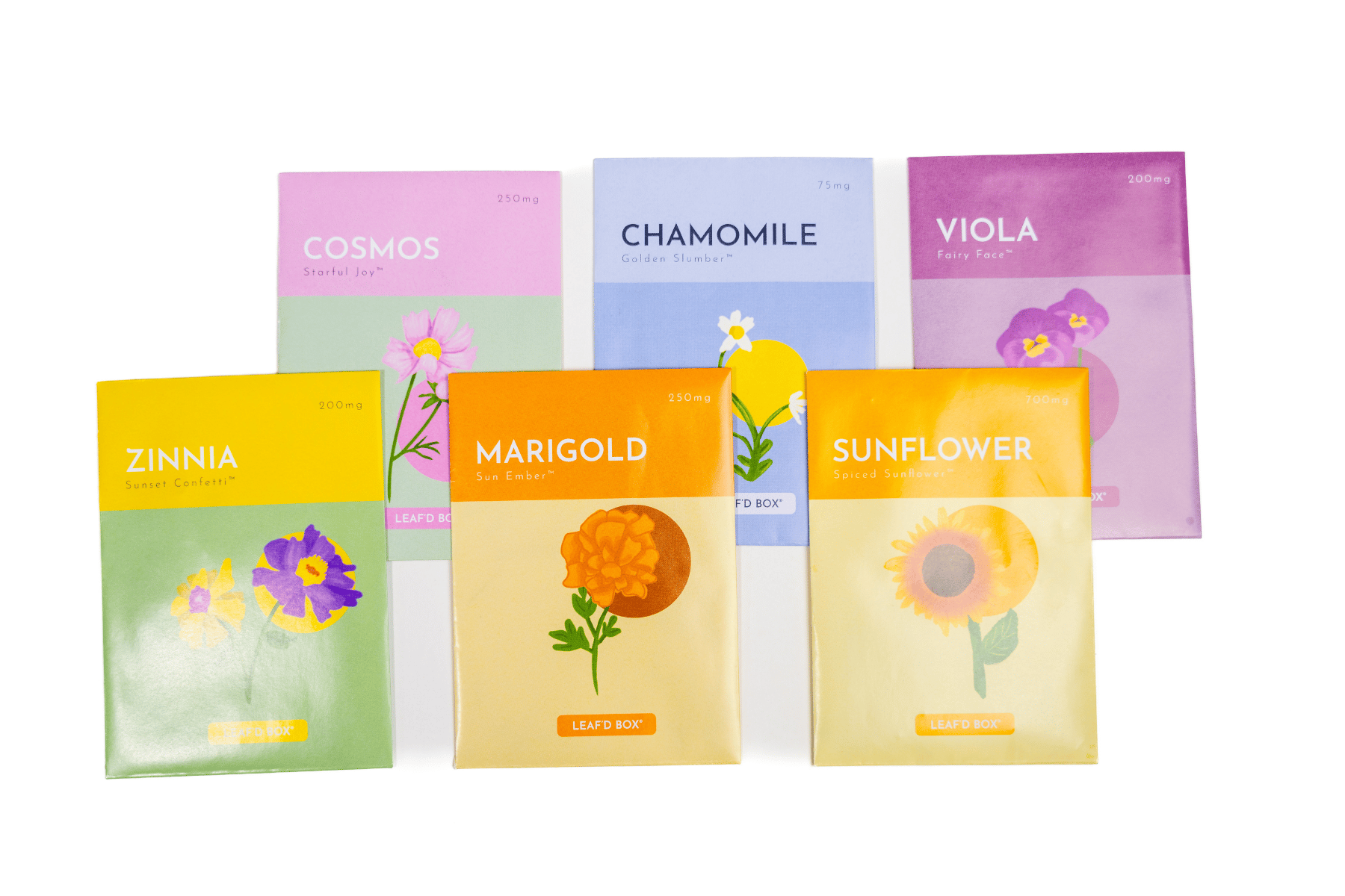 Flower Gardening Education Seed Kit with Science Curriculum