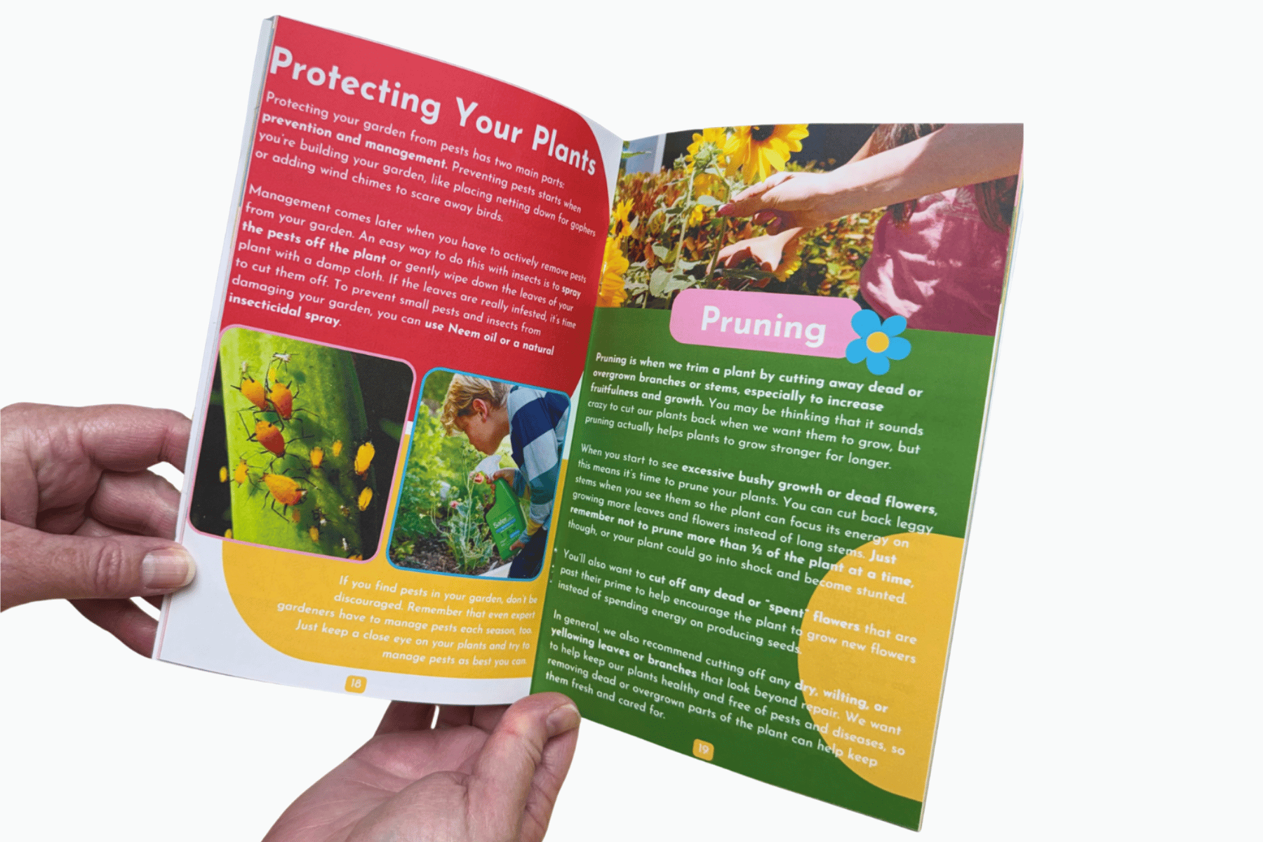 Flower Gardening Education Seed Kit with Science Curriculum