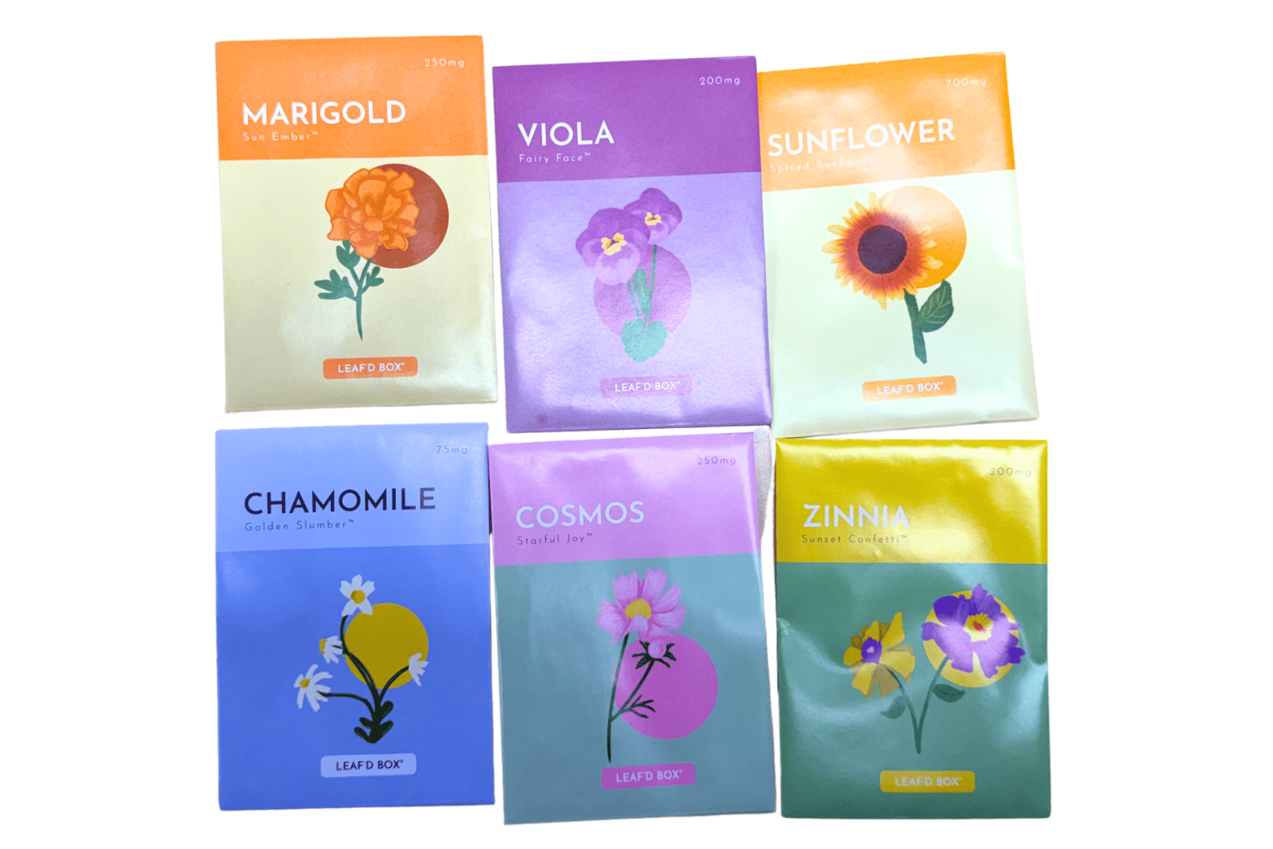 Flower Gardening Education Seed Kit with Science Curriculum