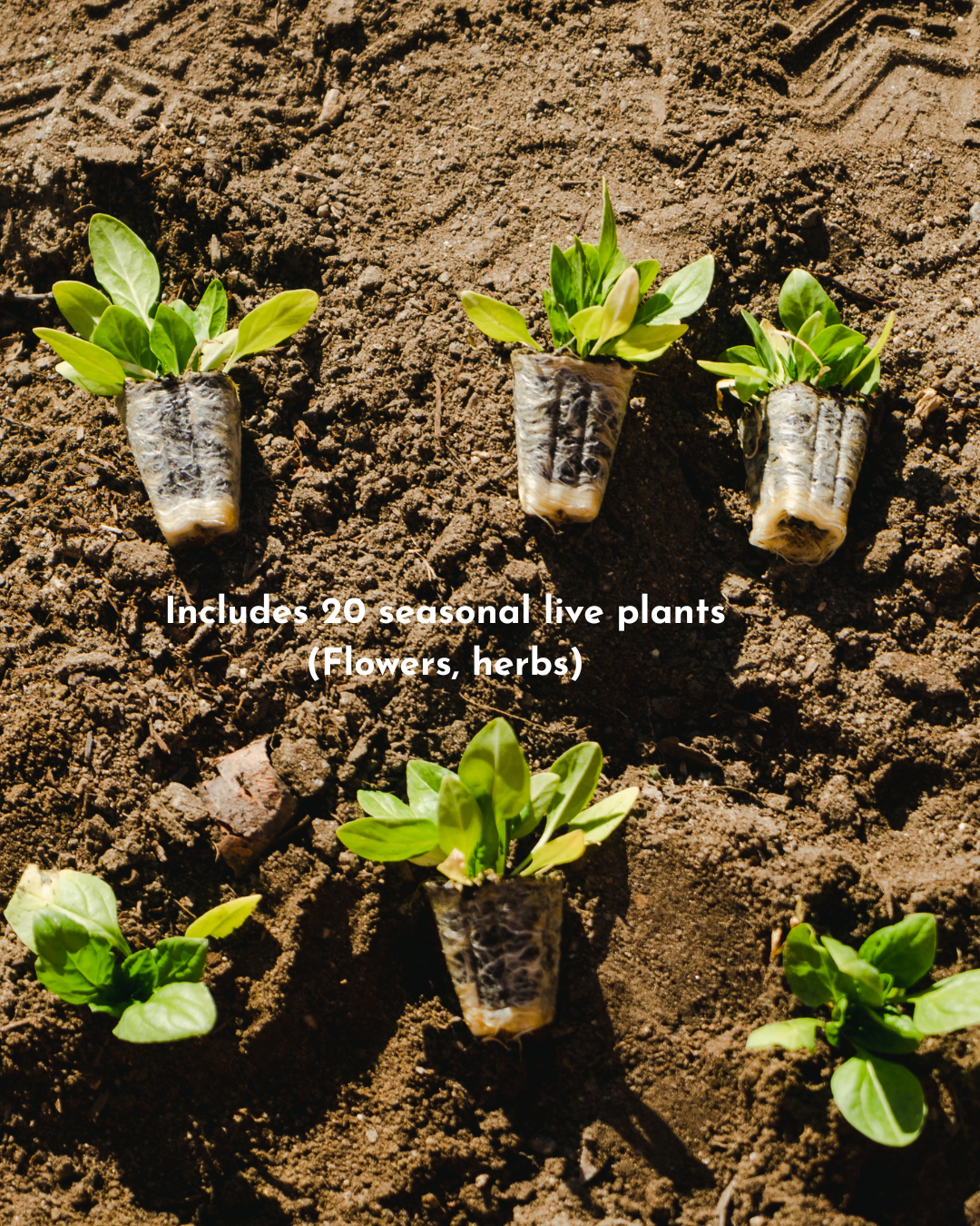 Stackable Planter Garden Kit