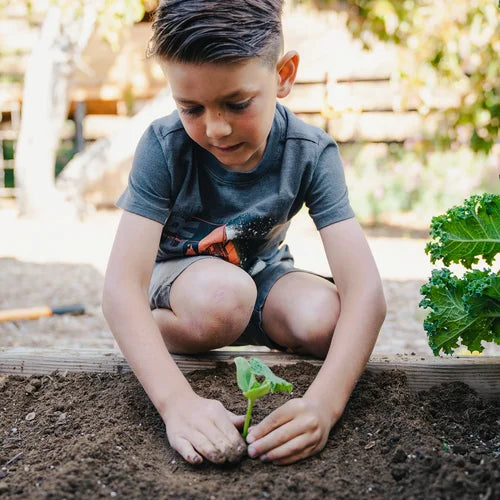 Seasonal Vegetable Garden Kit (Region 1)