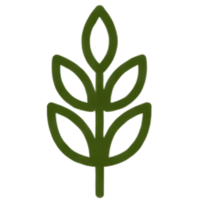 Outline of a grain stalk representing food security.