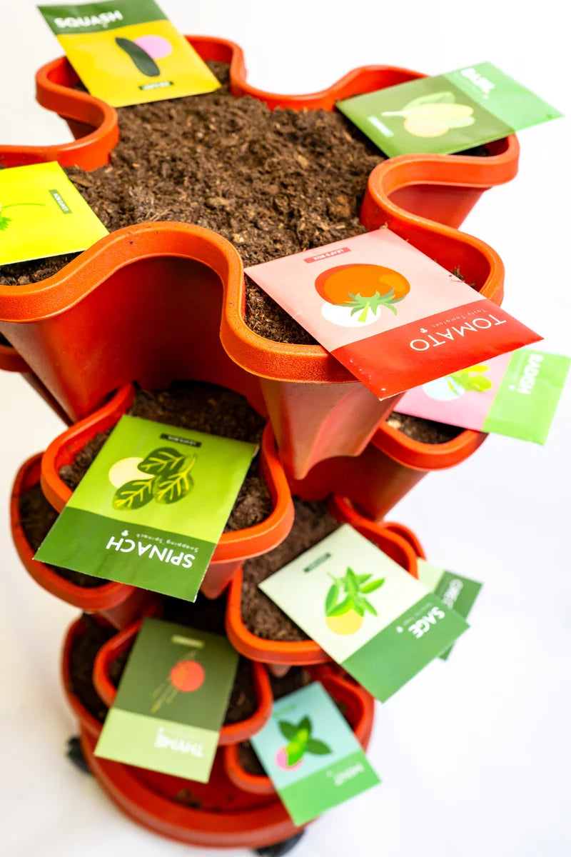 Image_20251112_151630_818.webp__PID:319e2d5a-9538-4eaf-89e7-85169ed08c96