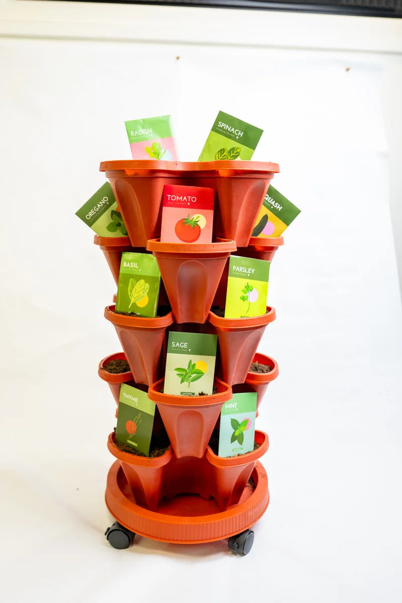 Image_20251112_151721_976.webp__PID:9e2d5a95-38de-4fc9-a785-169ed08c969c