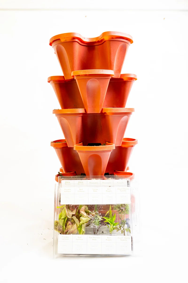 Image_20251112_151826_050.webp__PID:96fcdaca-5280-4cf8-b973-baedfb996adb