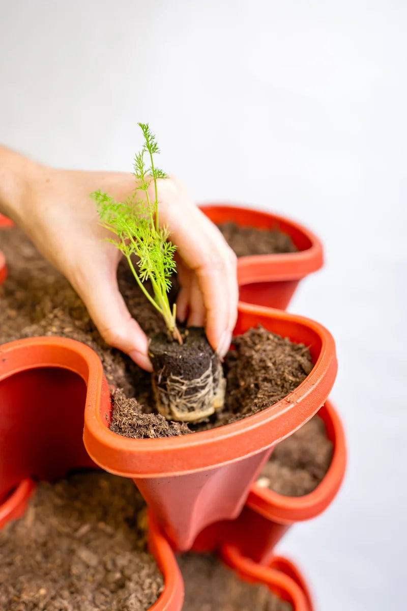 Image_20251112_151832_668.webp__PID:0996fcda-ca52-403c-b839-73baedfb996a