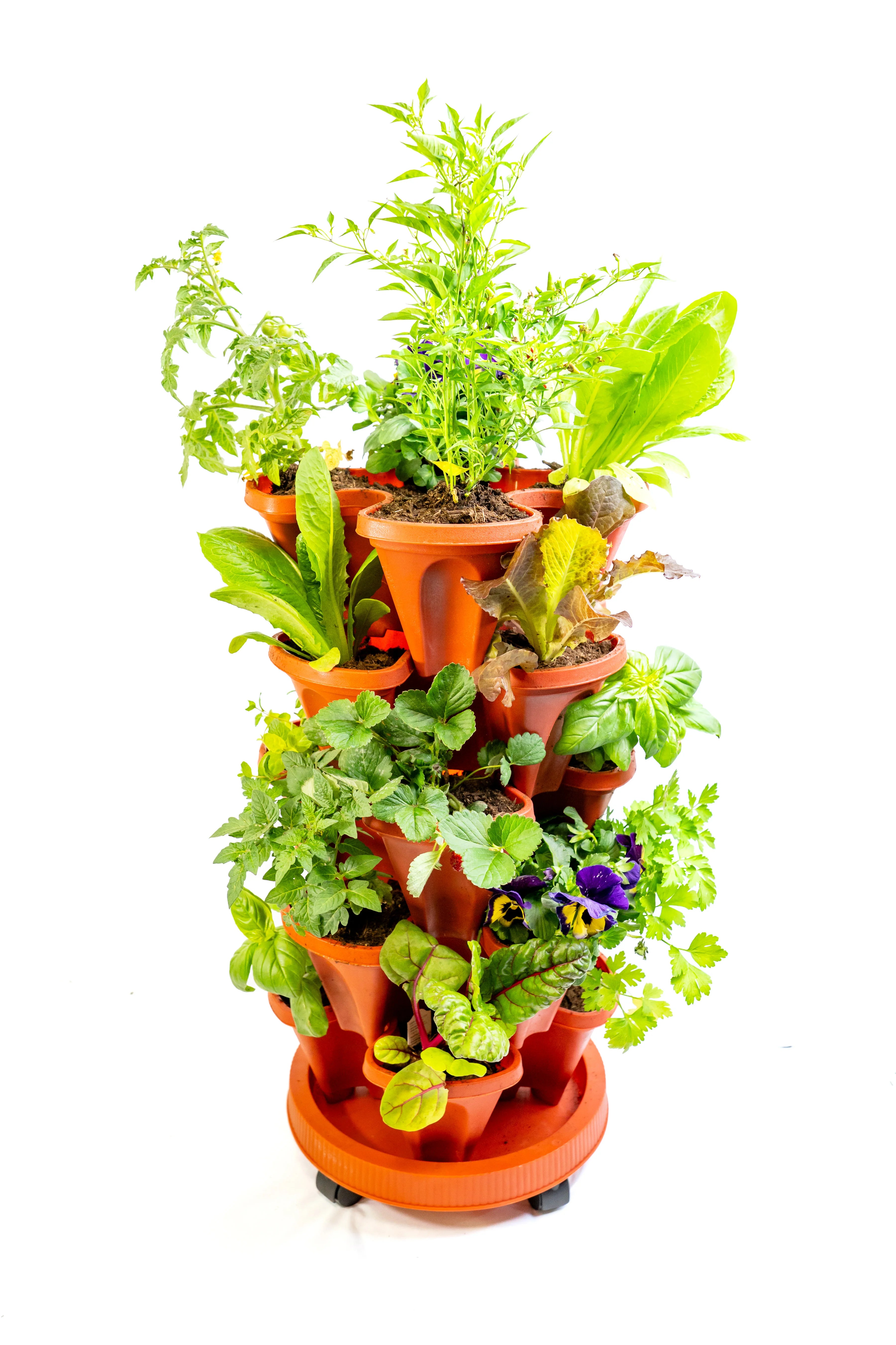 Image_20251112_151838_560.webp__PID:eff4a28a-6bd7-434b-a1b1-dd8626cfc653