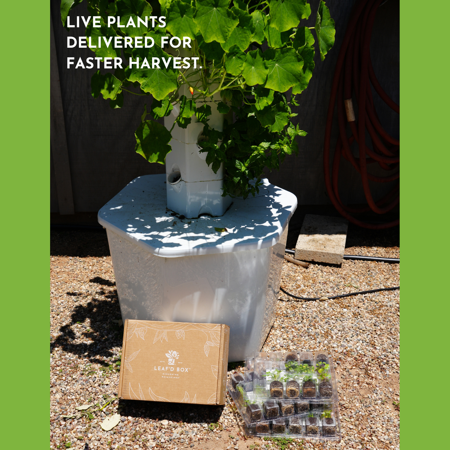 Outdoor Hydroponic Tower Education Kit