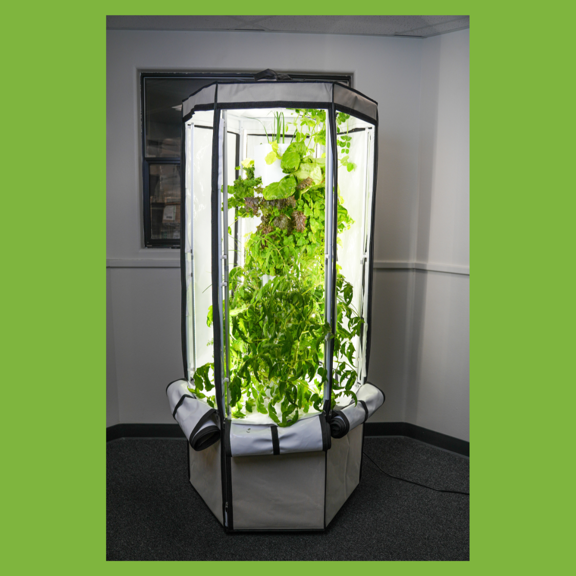Indoor Hydroponic Tower Education Kit