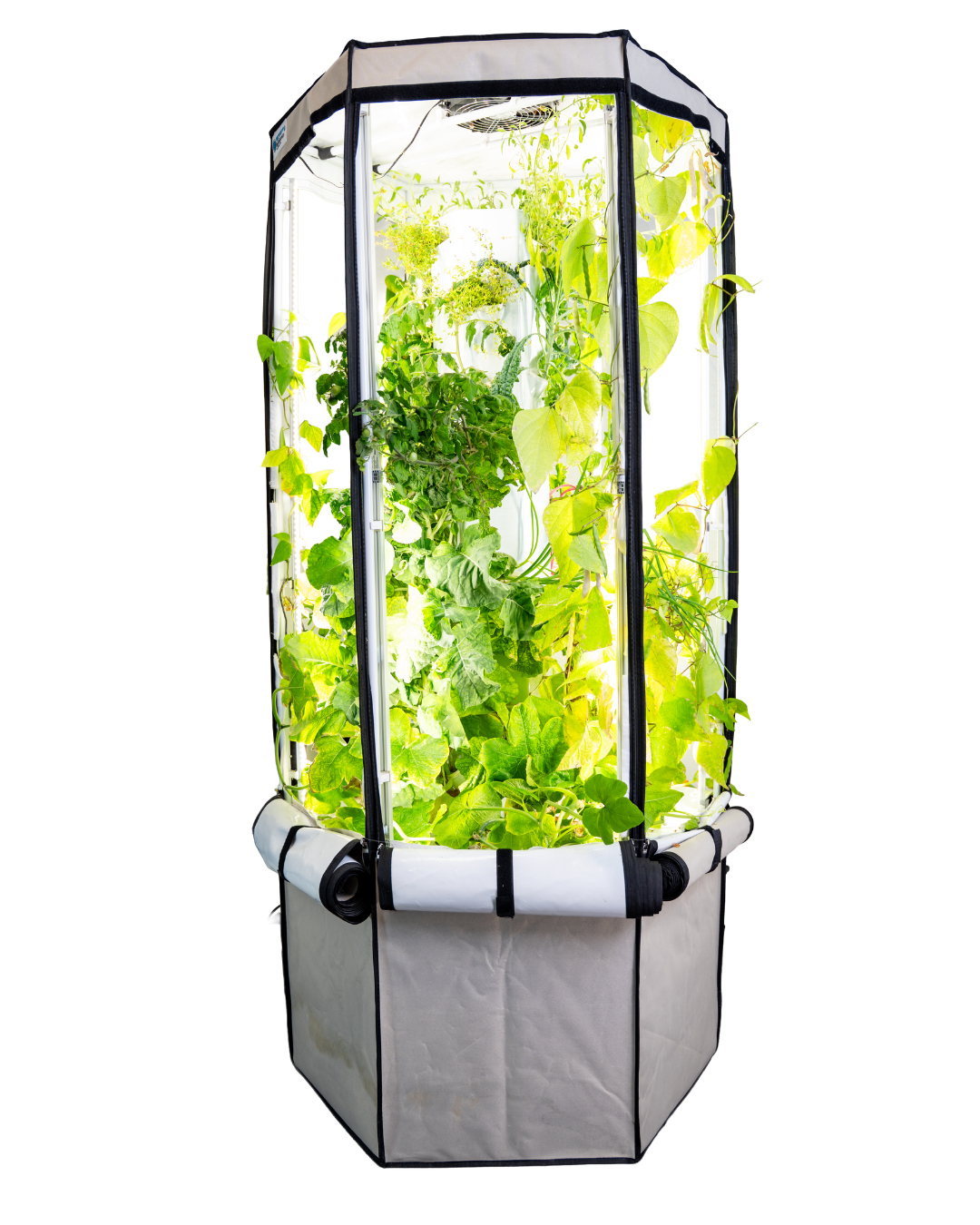 Indoor Hydroponic Tower Education Kit with Science Curriculum