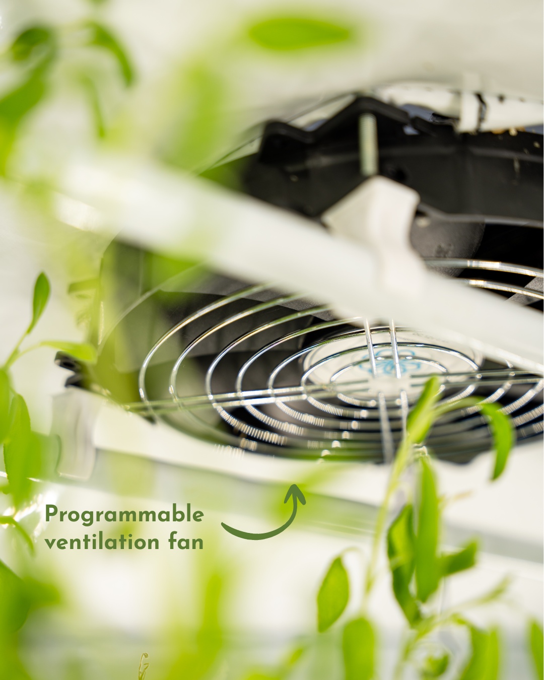 Indoor Hydroponic Tower Kit with Science Curriculum