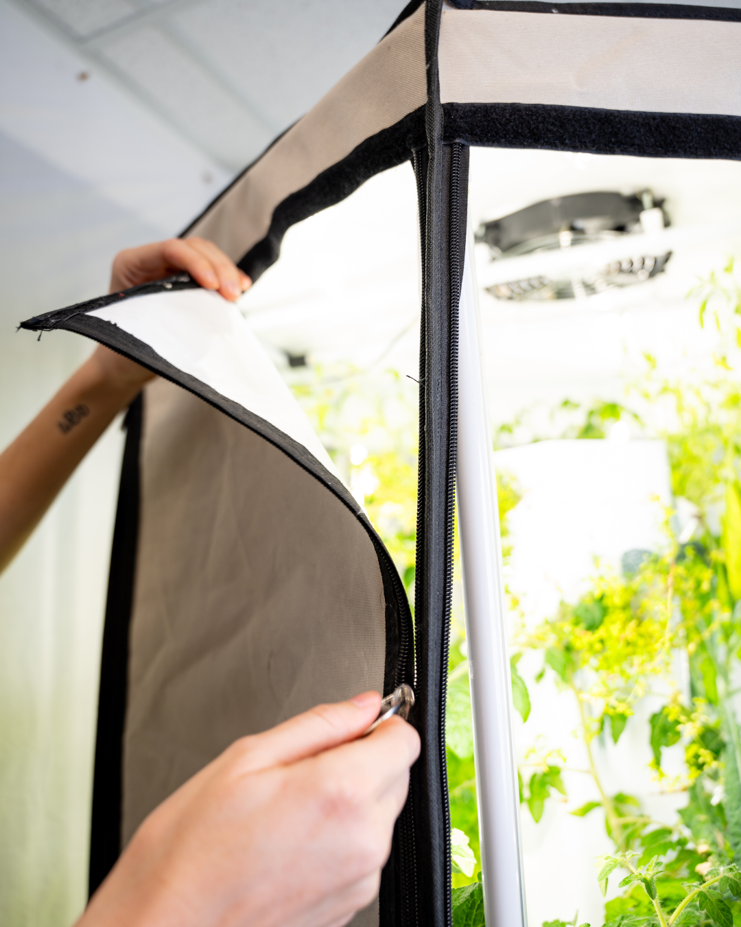 Indoor Hydroponic Tower Education Kit with Science Curriculum