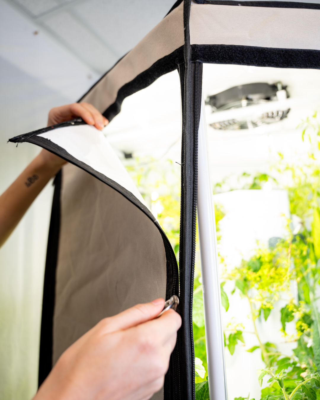 Indoor Hydroponic Tower Kit with Science Curriculum