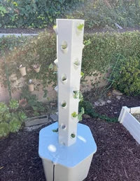 Outdoor Hydroponic Tower Plant Refill (Region 1)