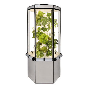 Indoor Hydroponic Tower Kit with Science Curriculum