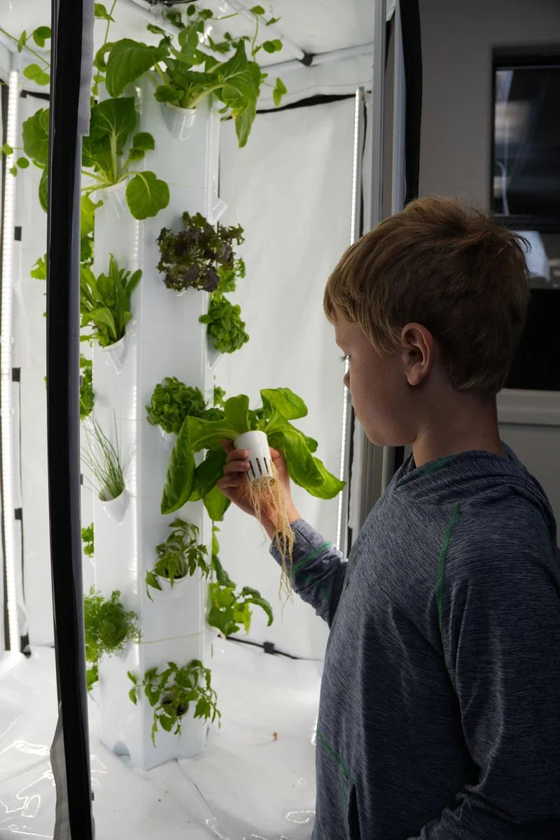 Indoor Hydroponic Tower Subscription