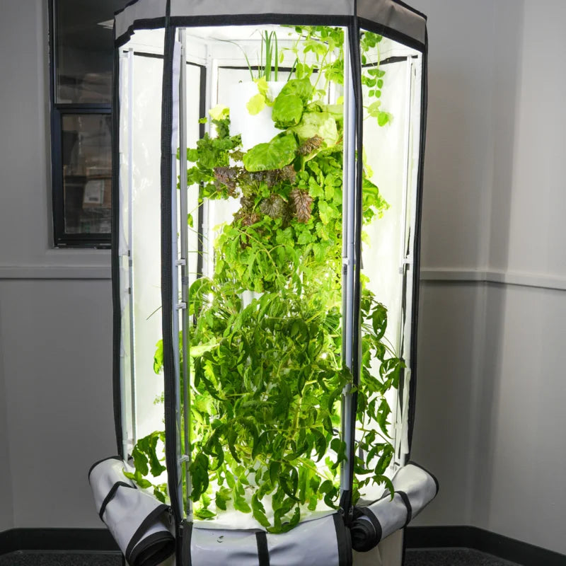 Indoor Hydroponic Tower Education Kit with Science Curriculum