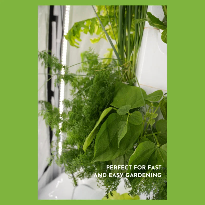 Indoor Hydroponic Tower Education Kit with Science Curriculum