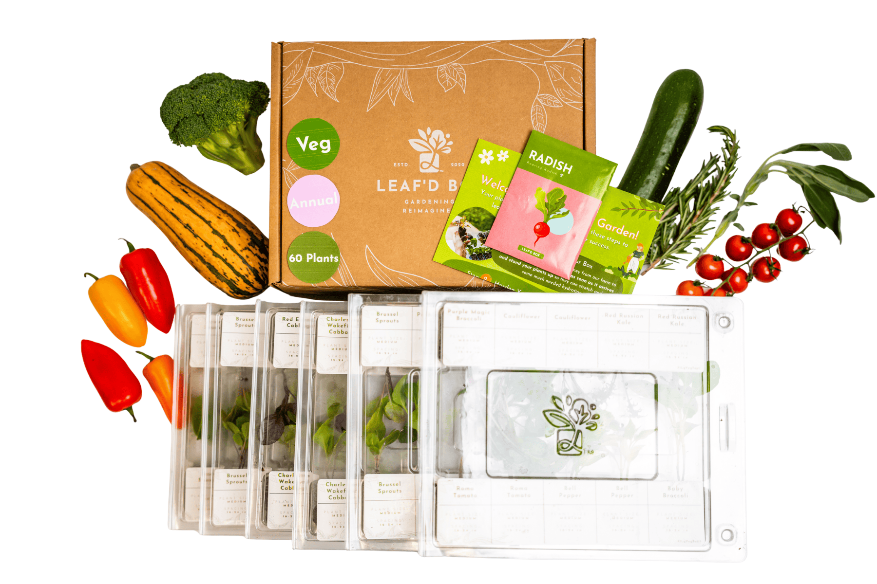 Large Veggie Garden Seasonal Subscription