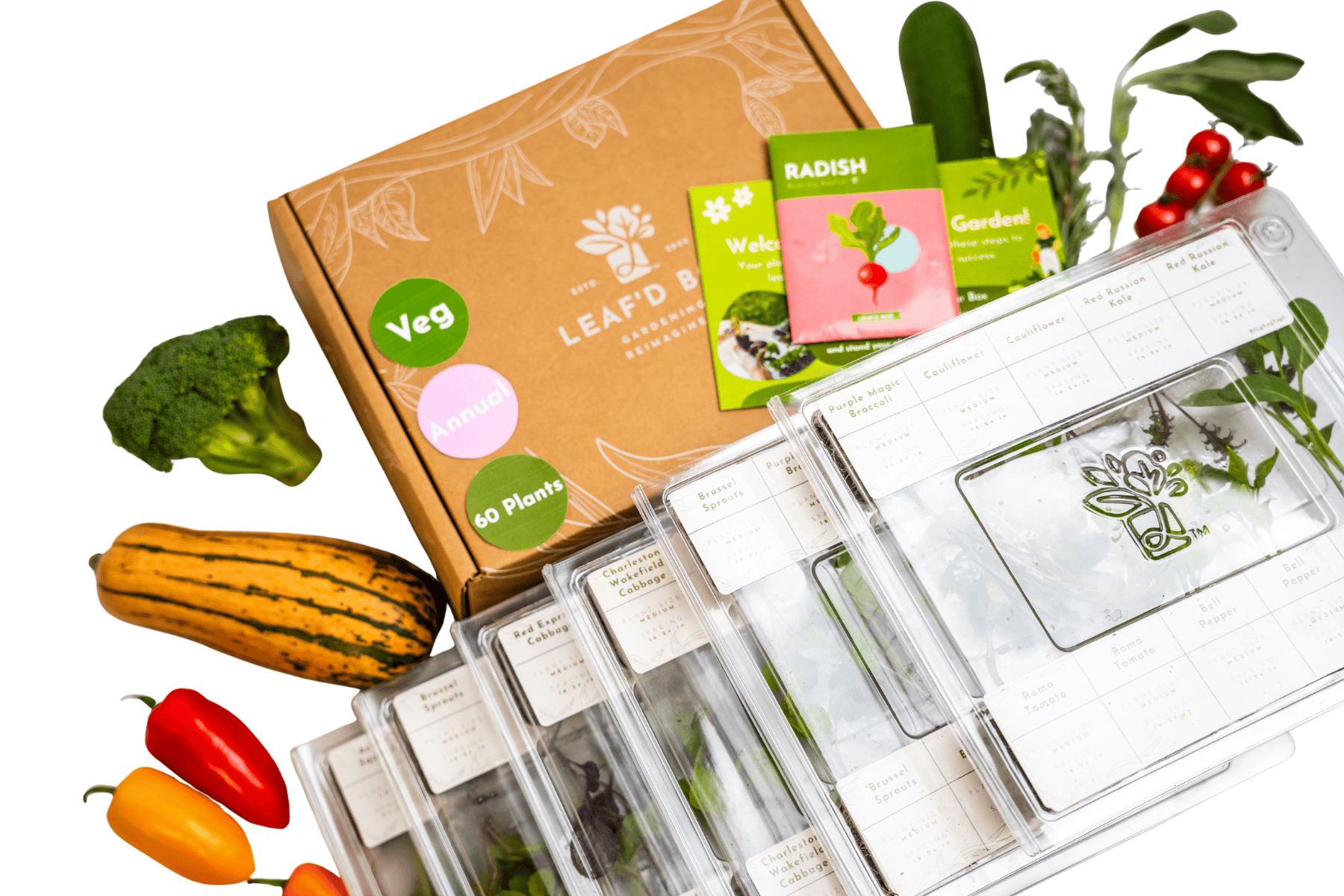 garden seed subscription box Large Veggie Garden Seasonal Subscription