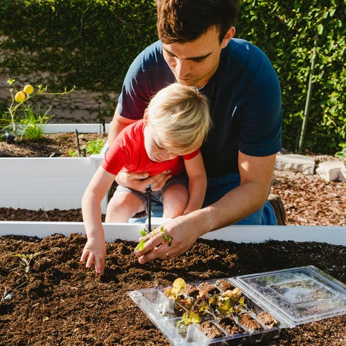 Large Veggie Garden Seasonal Subscription