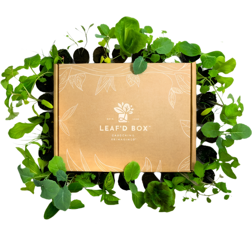Leaf’d Box garden kit surrounded by leafy plants.