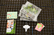 Med3.webp__PID:e7846109-6cef-416c-9b19-3765a0f68fbd
