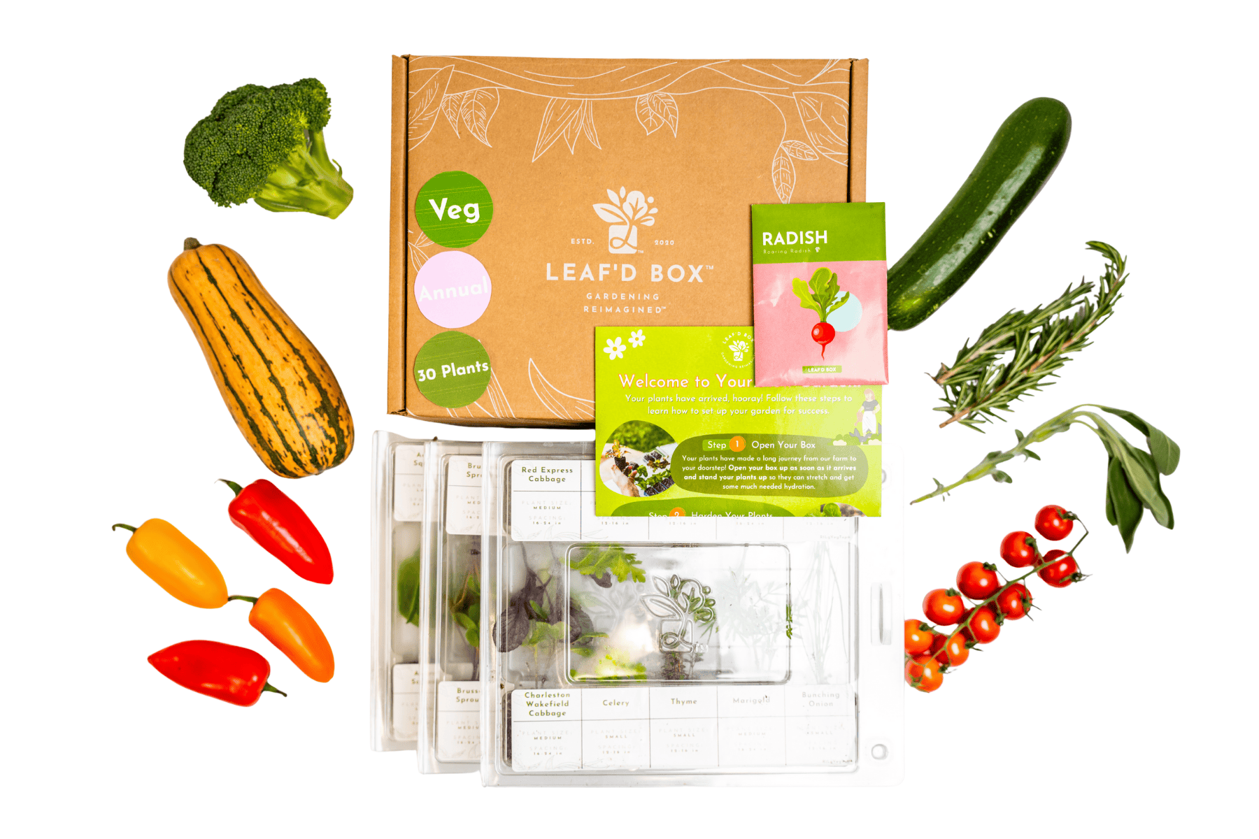 Medium Veggie Garden Seasonal Subscription (Region 1)