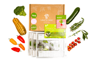 Medium Veggie Garden Seasonal Subscription (Region 3)