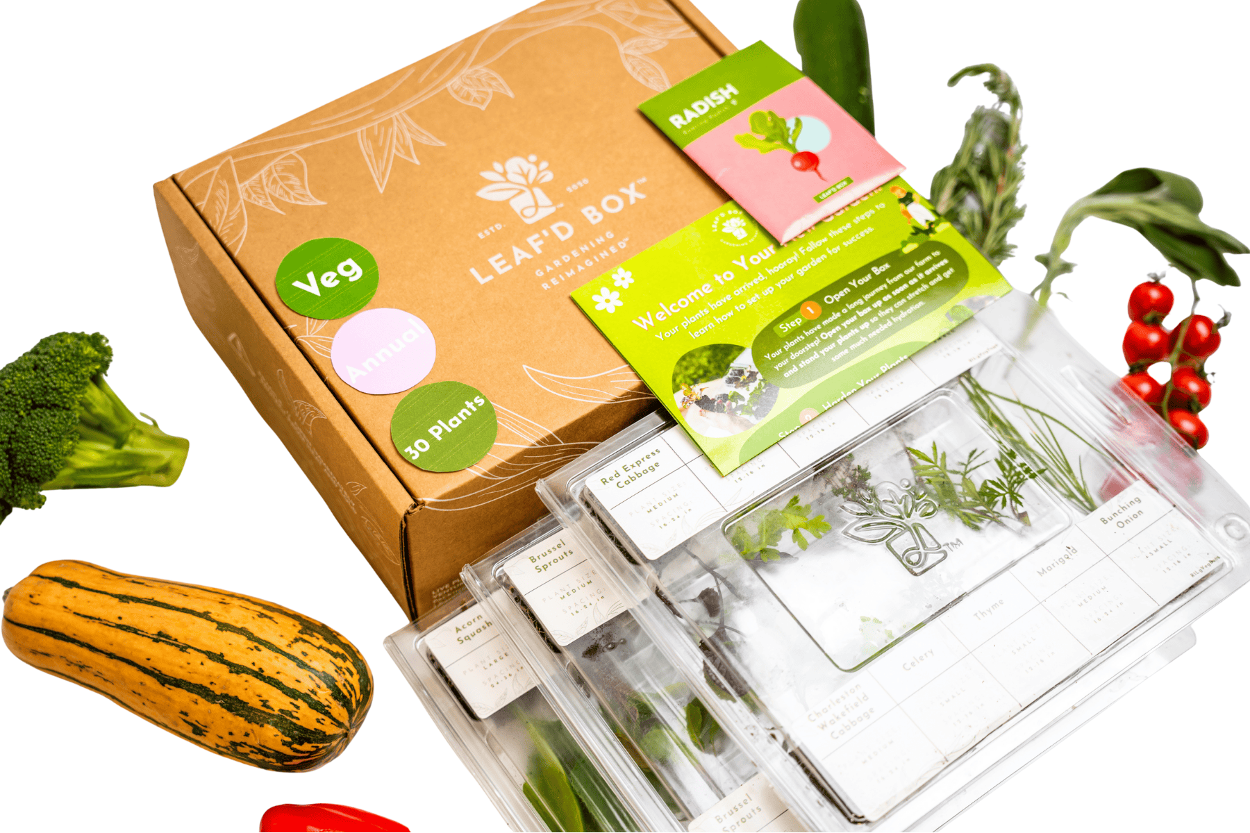 Medium Veggie Garden Seasonal Subscription (Region 1)