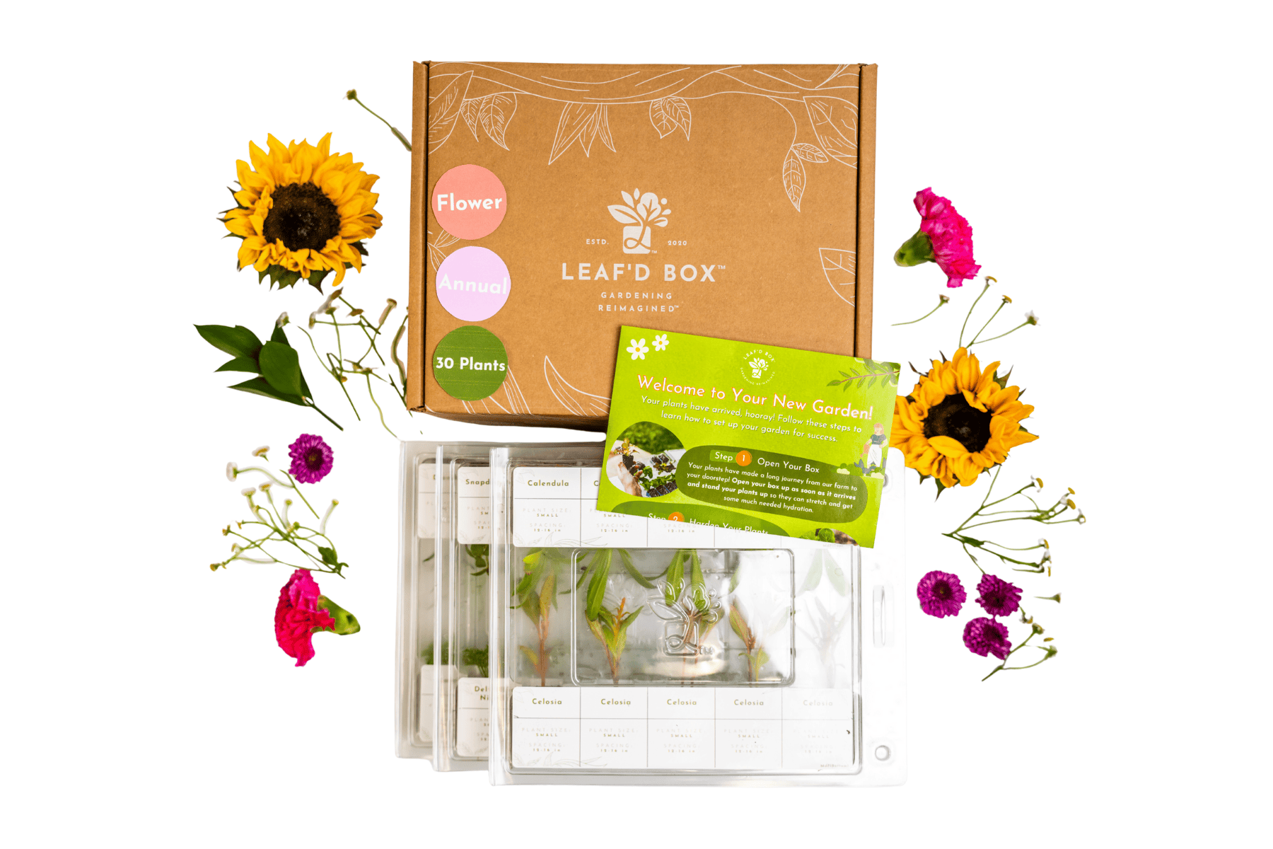 Medium Flower Garden Seasonal Subscription