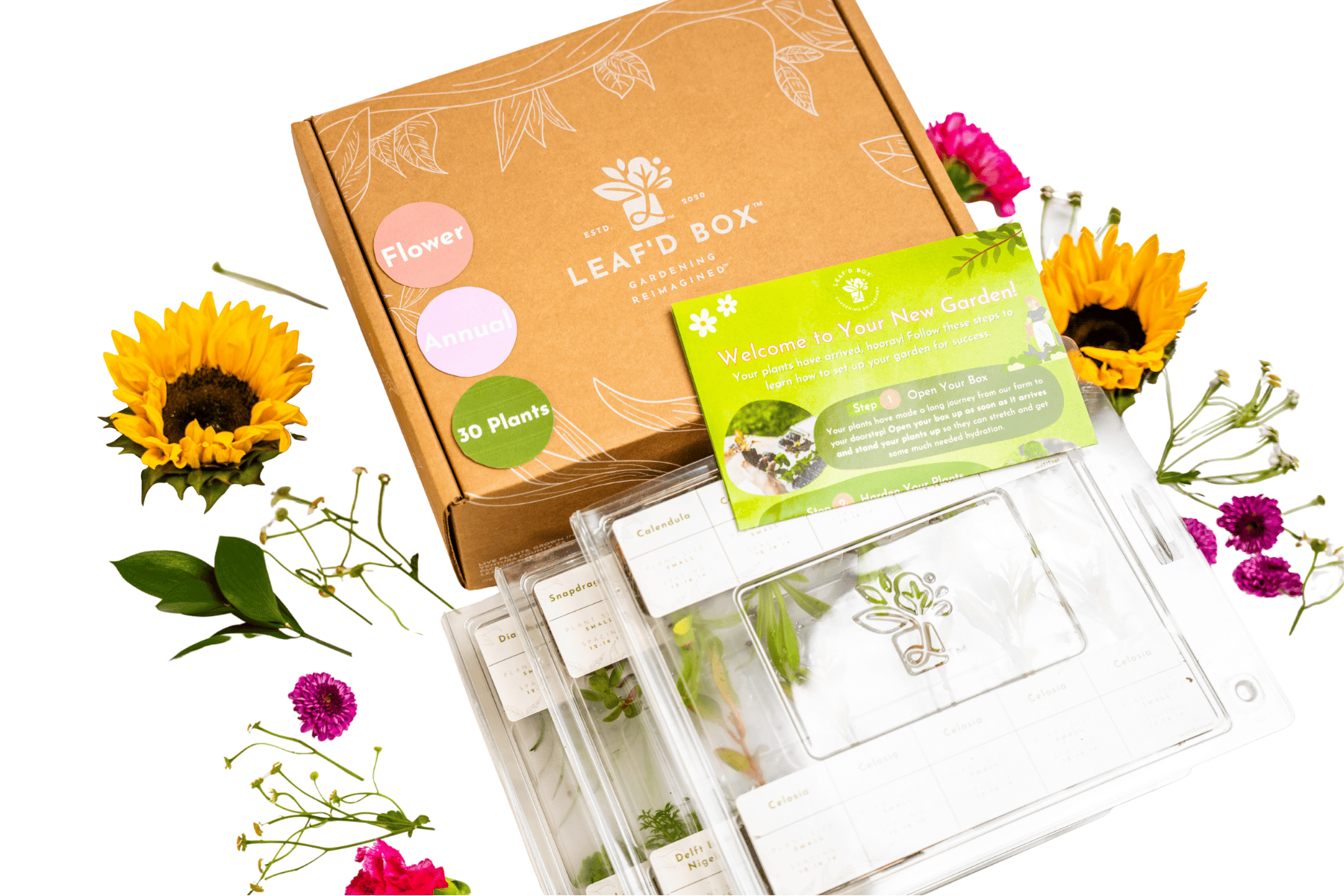 Medium Flower Garden Seasonal Subscription