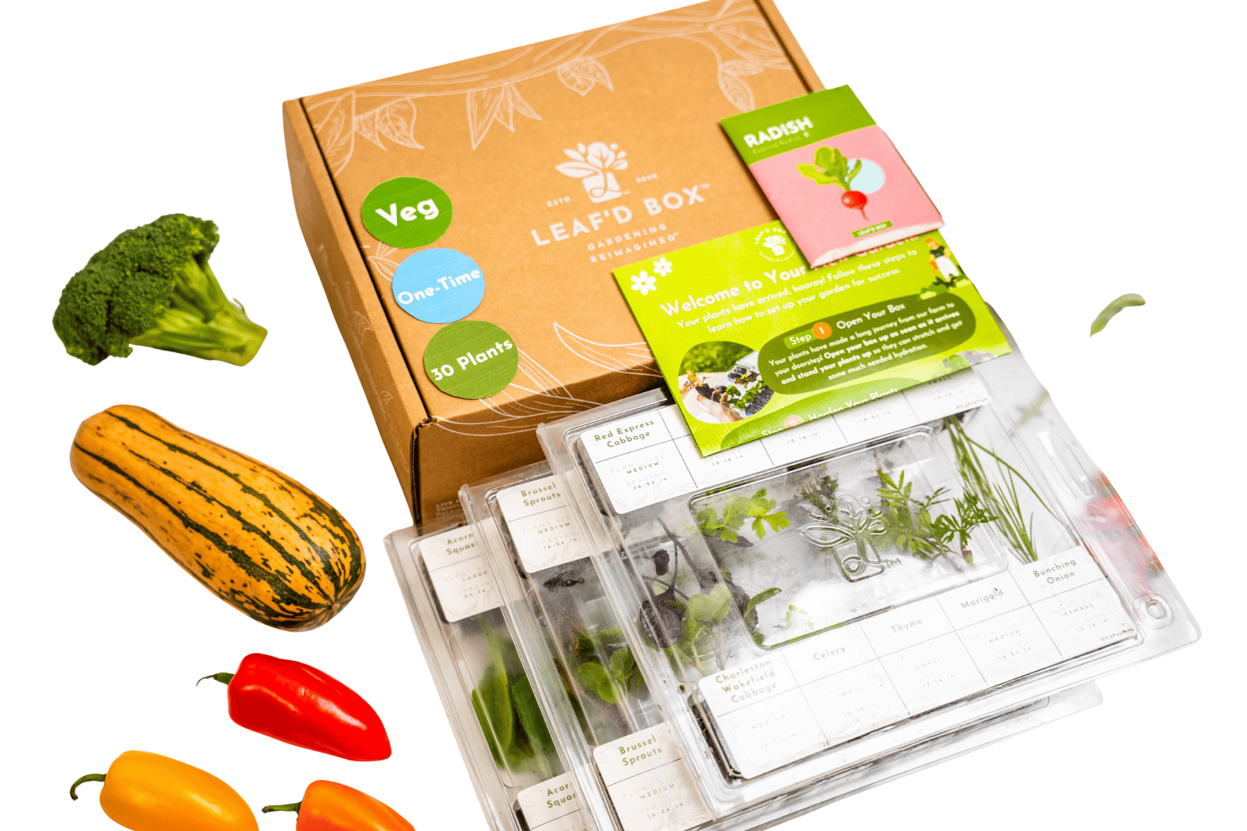 Medium_OT_2.png__PID:5de0e1ed-2c64-4358-bae3-fe1d958369c4