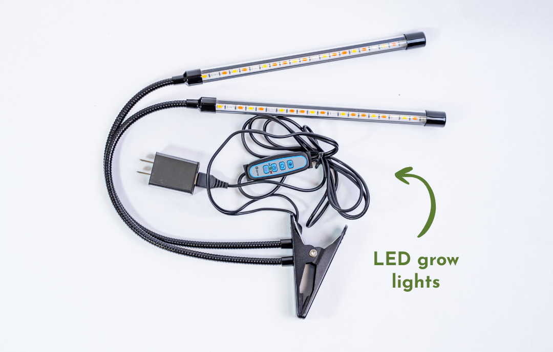 Microgreens Education Kit with Science Curriculum