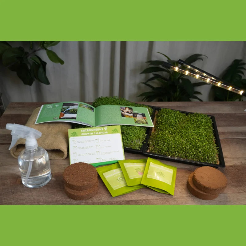 Microgreens Education Kit with Science Curriculum