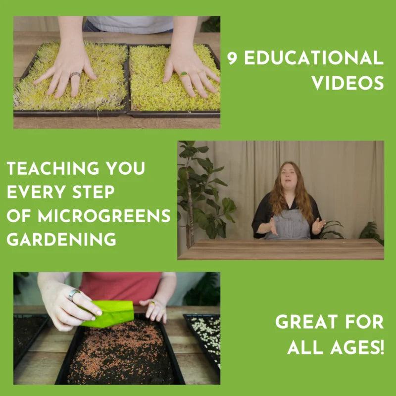 Microgreens Education Kit with Science Curriculum