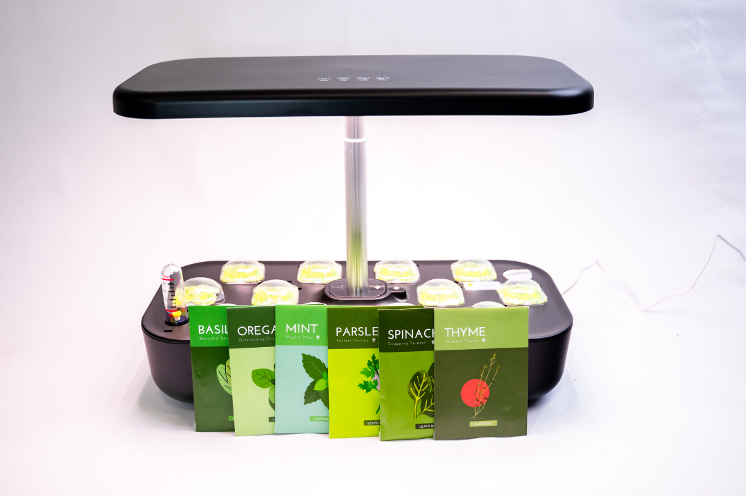 Mini Hydroponic Education Kit with Science Curriculum