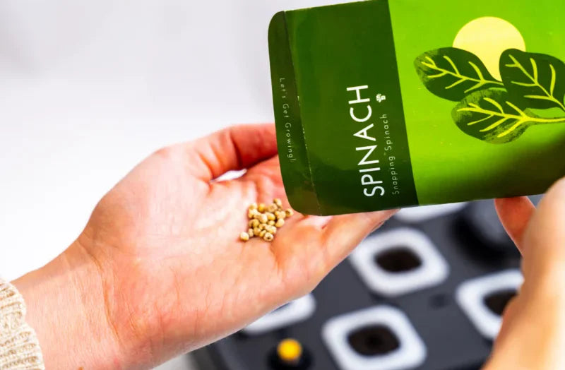 minihydro10__PID:624ebb85-ad5e-4e53-bae5-63a1c4fbe8bb