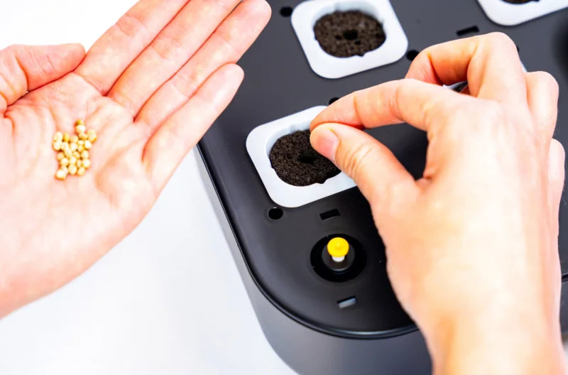 Mini Hydroponic Education Kit with Science Curriculum