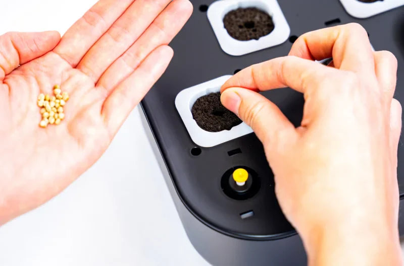 minihydro11__PID:c099a3b2-e290-4f9d-8b8b-19273cabb807