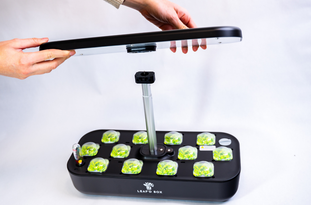 Mini Hydroponic Education Kit with Science Curriculum