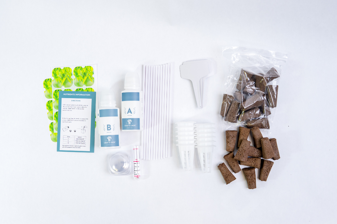 Mini Hydroponic Education Kit with Science Curriculum