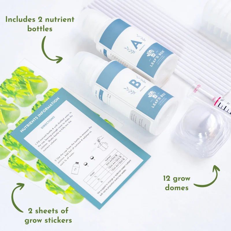 Mini Hydroponic Education Kit with Science Curriculum